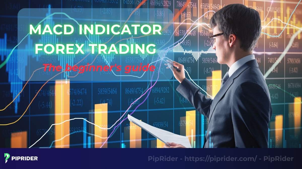 MACD indicator forex trading