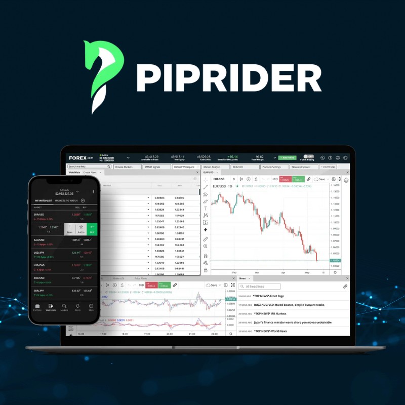 Piprider is an independent financial knowledge platform dedicated to the trading community