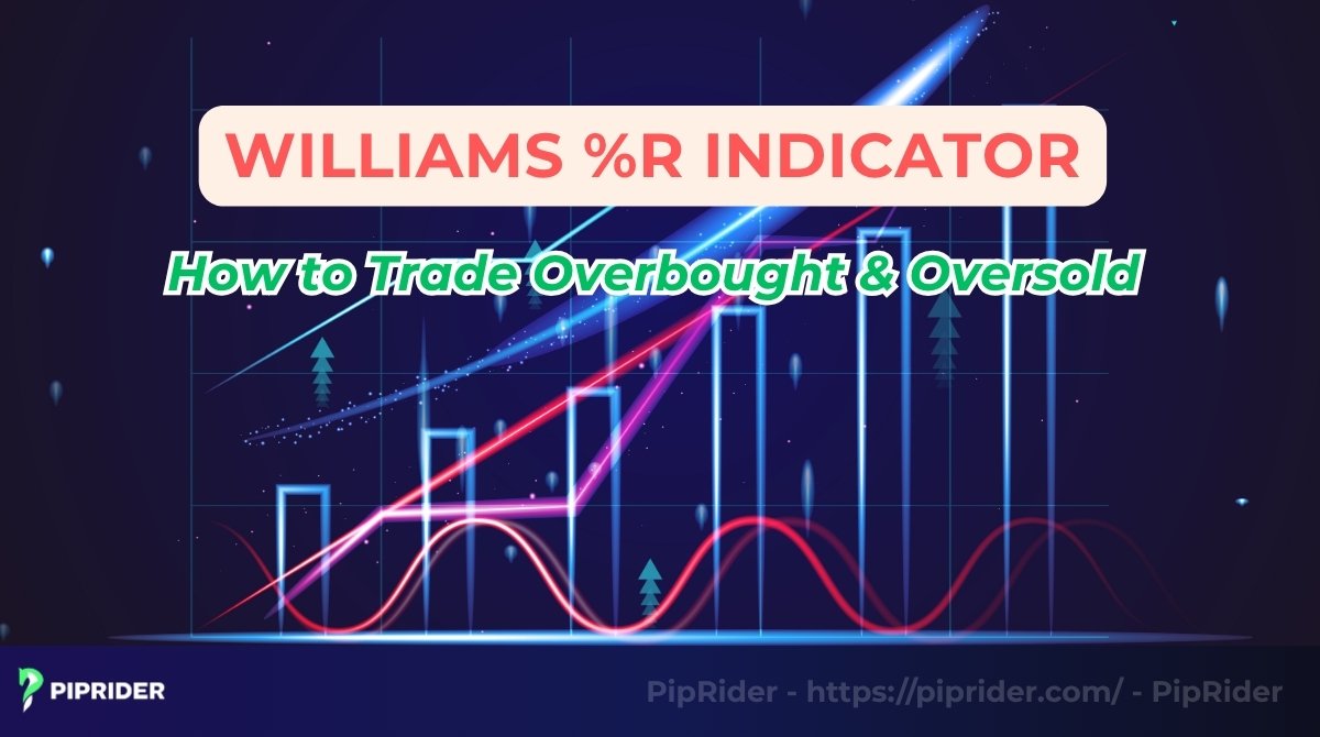 Williams %R Indicator: How to Trade Overbought & Oversold