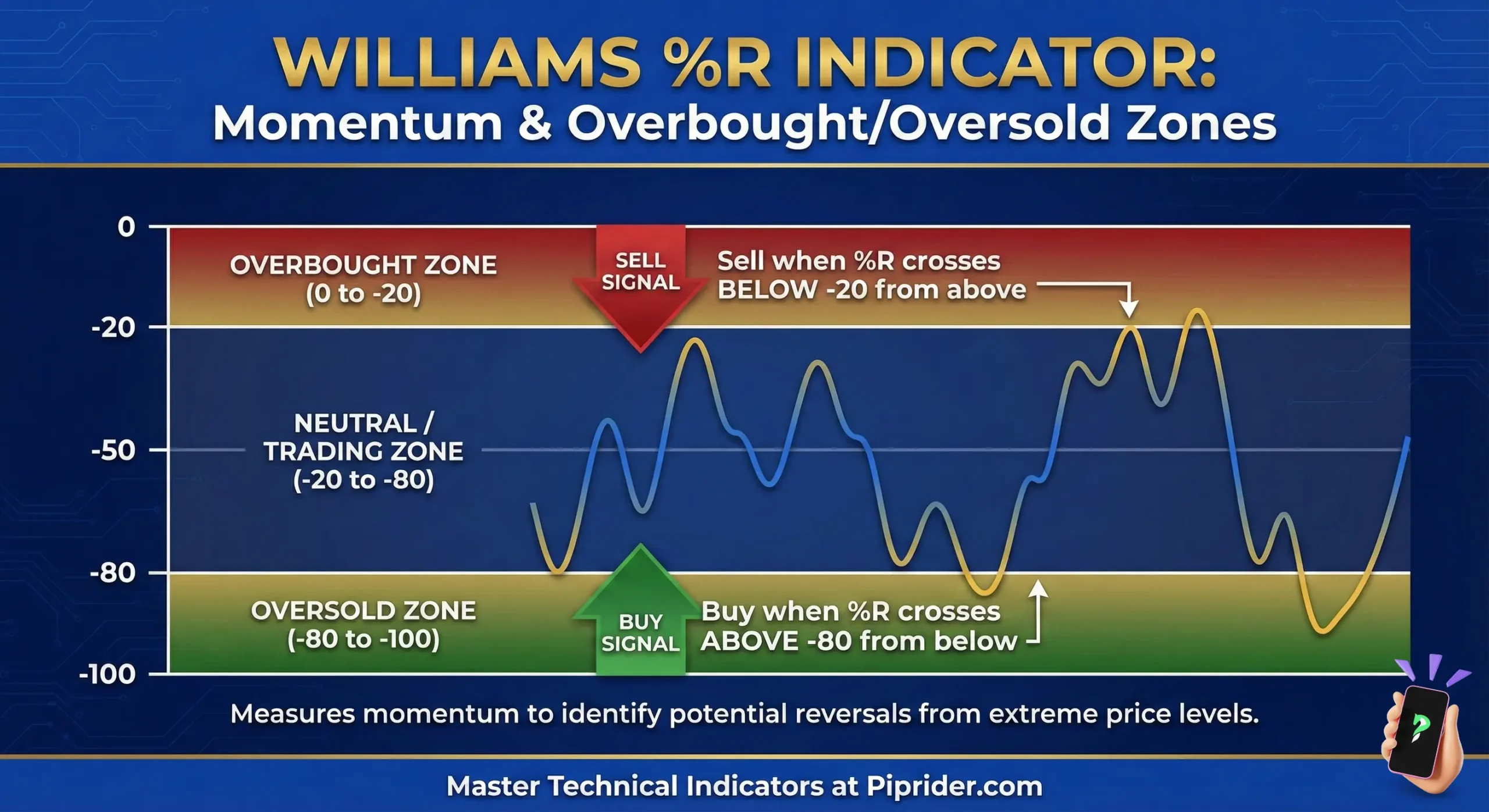 Williams R Indicator Momentum