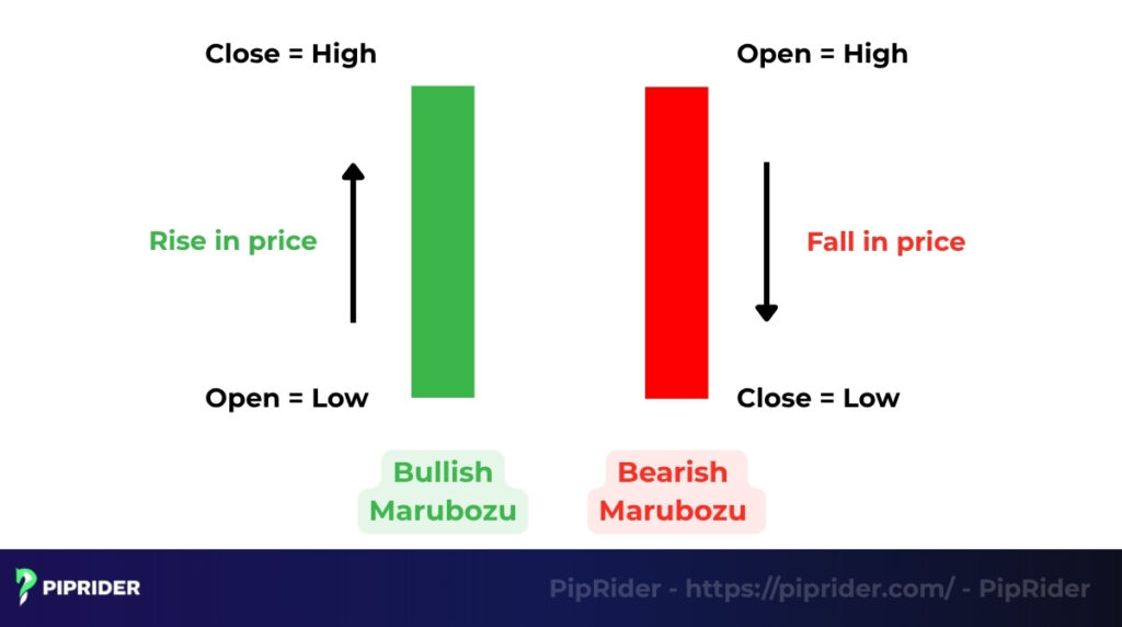 Bullish Marubozu and Bearish Marubozu