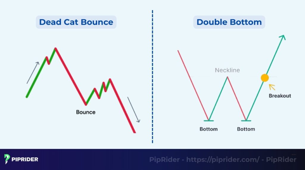 Dead Cat Bounce vs. Double Bottom