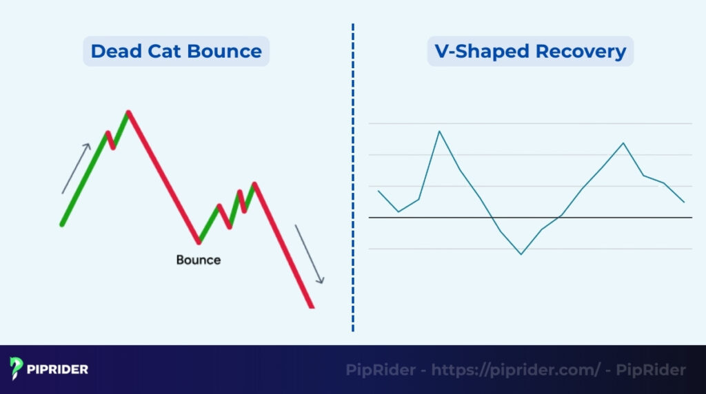 Dead Cat Bounce vs. V-Shaped Recovery