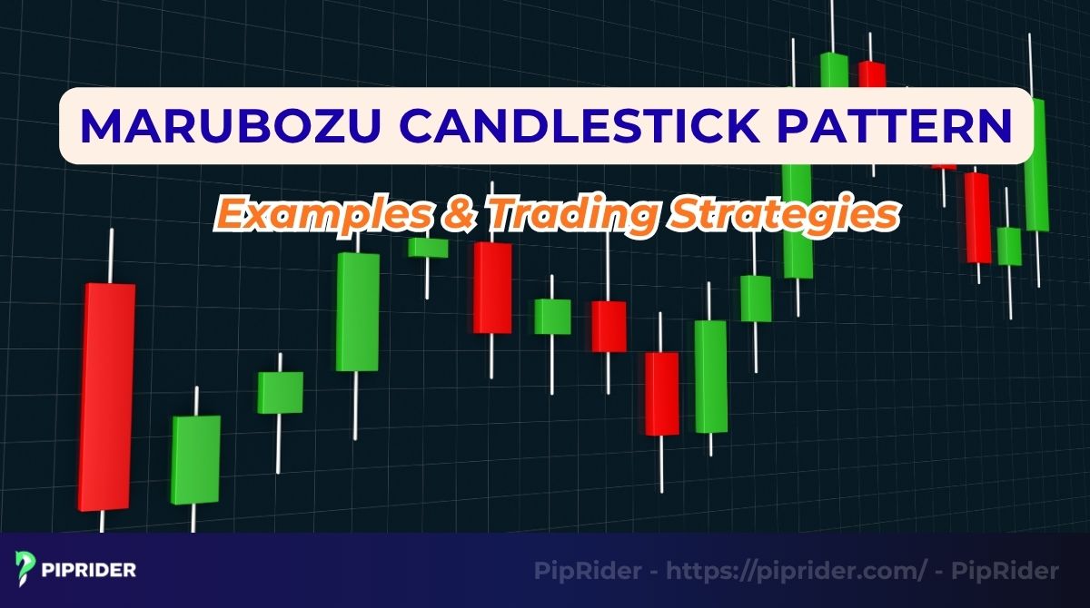 Marubozu Candlestick Pattern: Examples & Trading Strategies