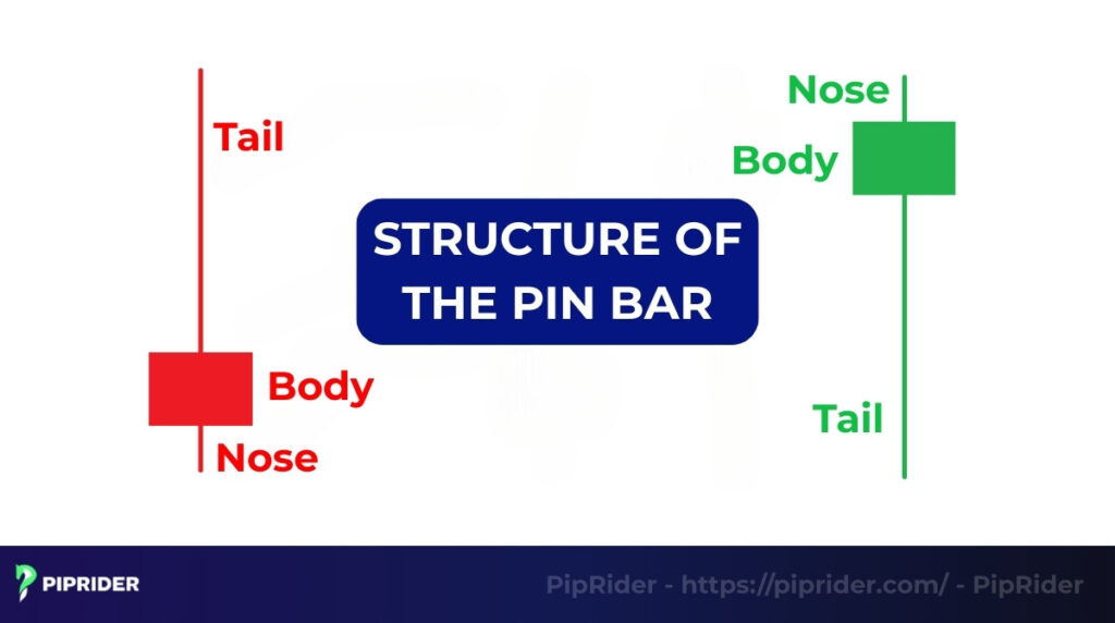 Structure of the pin bar