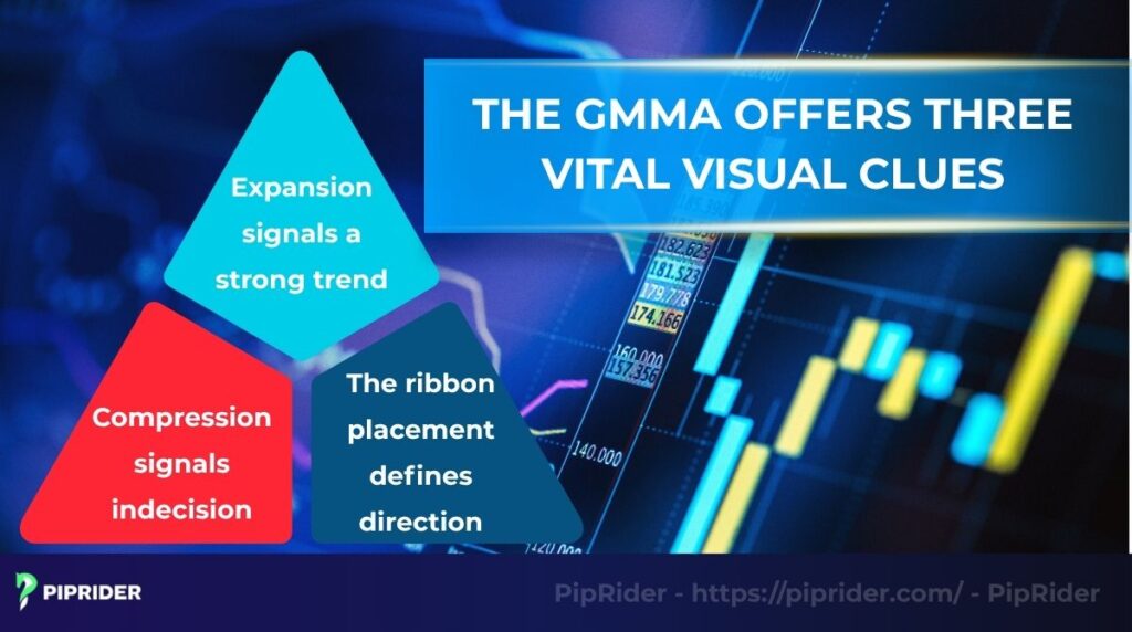 The GMMA offers three vital visual clues