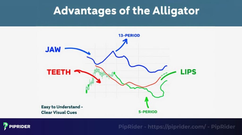The Jaw Teeth and Lips give clear visual cues for trends like a roadmap for the market