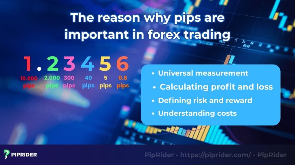 The reason why pips are important in forex trading
