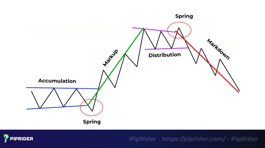The Wyckoff market cycle
