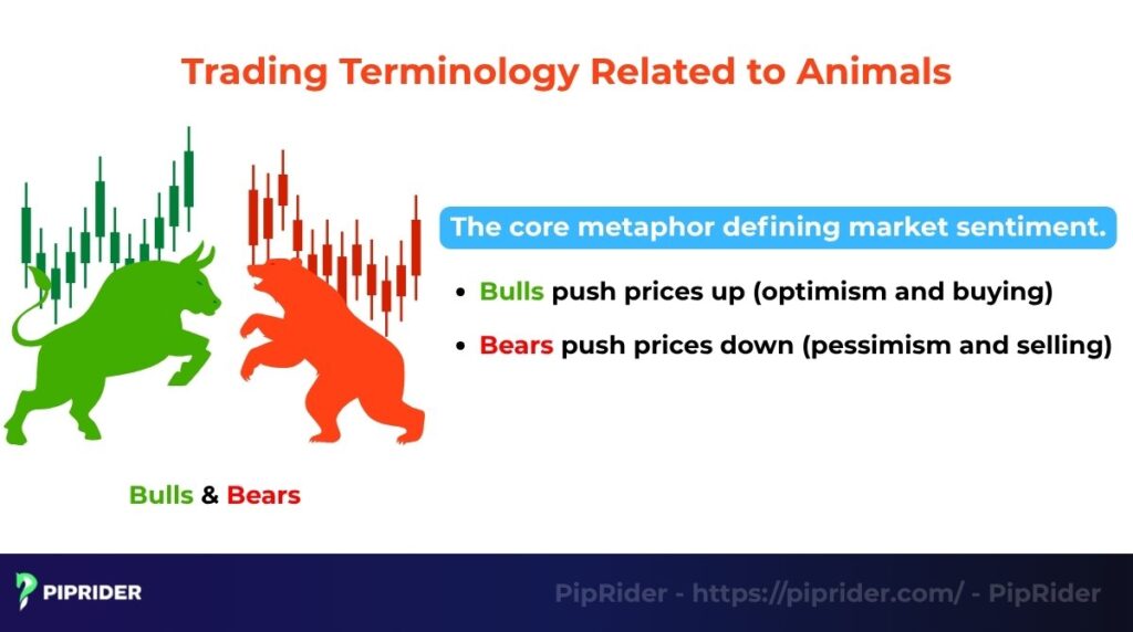 Trading terminology related to animals: Bulls & Bears