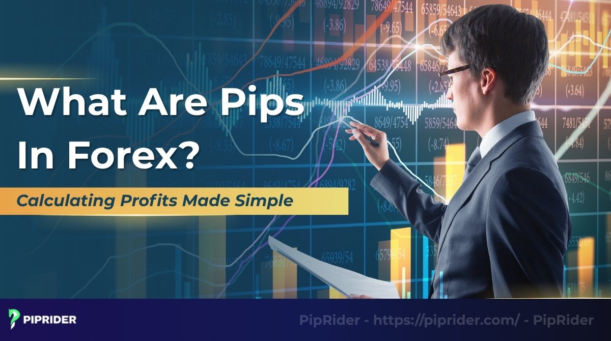 What Are Pips In Forex