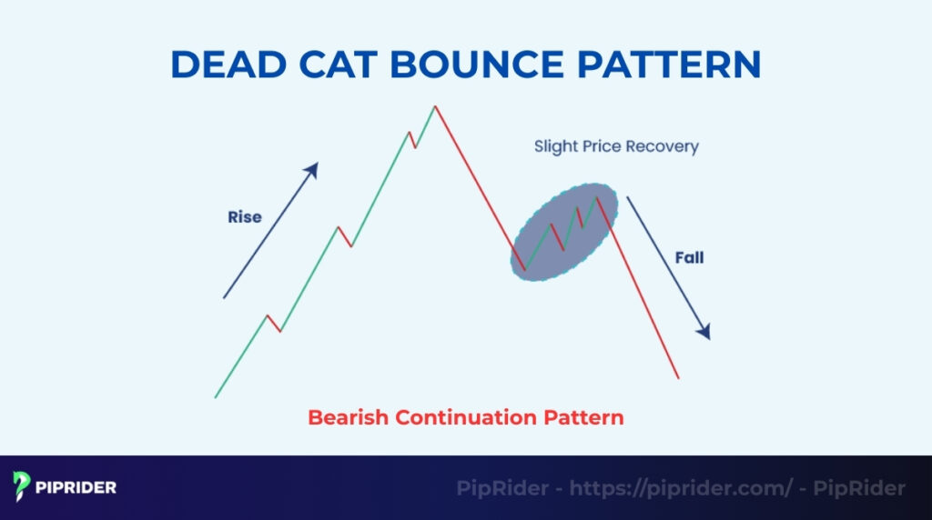 What is a Dead Cat Bounce Pattern?