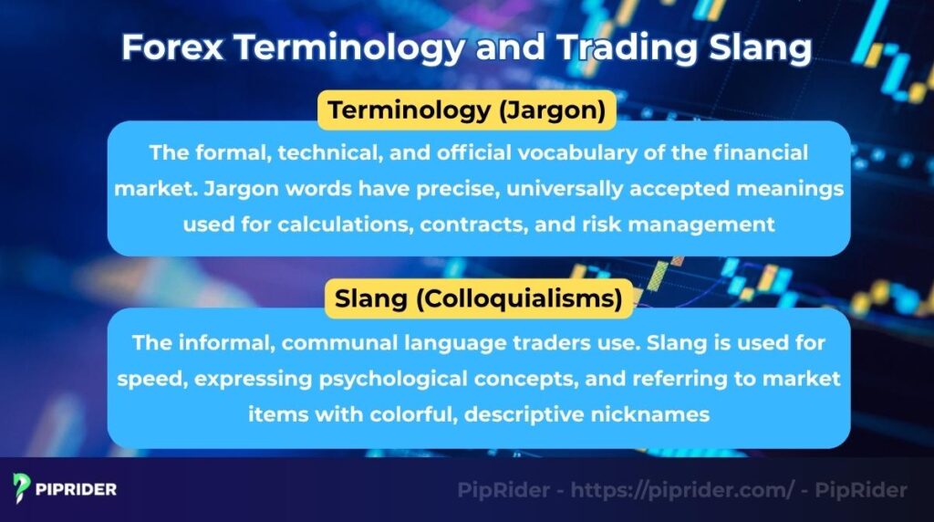 What is Forex Terminology and Trading Slang?